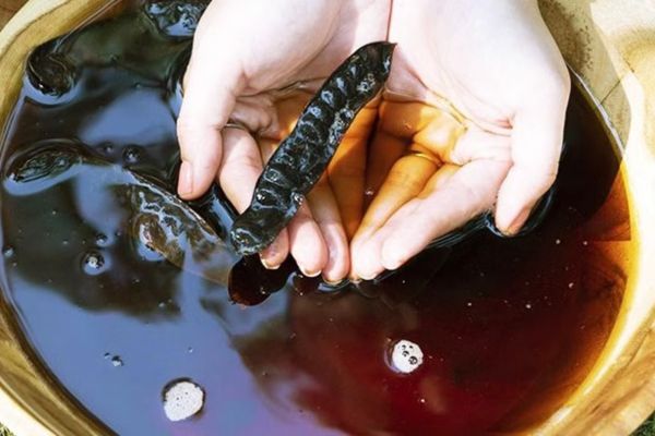 “Bóc mẽ” nguyên nhân rụng tóc chân tóc có màu trắng và hướng xử lý dứt điểm “Bóc mẽ” nguyên nhân rụng tóc chân tóc có màu trắng và hướng xử lý dứt điểm