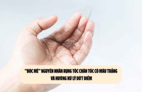 “Bóc mẽ” nguyên nhân rụng tóc chân tóc có màu trắng và hướng xử lý dứt điểm