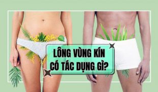 Lông vùng kín có tác dụng gì? Chuyên gia giải đáp vai trò quan trọng ít người biết