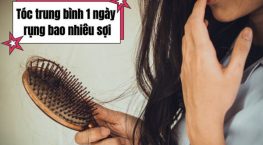Tóc rụng trung bình 1 ngày bao nhiêu sợi? Chuyên gia giải đáp