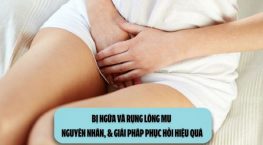 Bị ngứa và rụng lông mu: Nguyên nhân, & giải pháp phục hồi hiệu quả