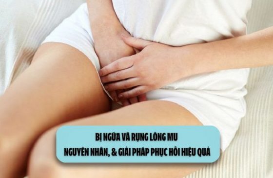 Bị ngứa và rụng lông mu: Nguyên nhân, & giải pháp phục hồi hiệu quả