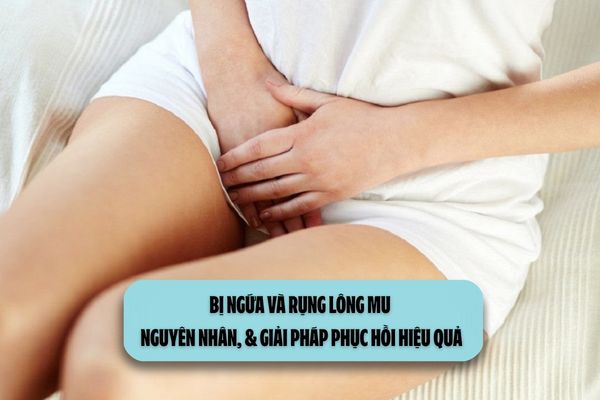 Bị ngứa và rụng lông mu: Nguyên nhân, & giải pháp phục hồi hiệu quả
