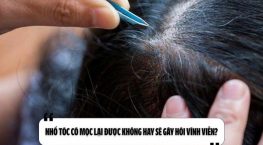 Nhổ tóc có mọc lại được không hay sẽ gây hói vĩnh viễn?