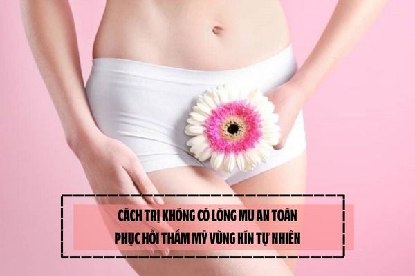 Cách trị không có lông mu an toàn, phục hồi thẩm mỹ vùng kín tự nhiên