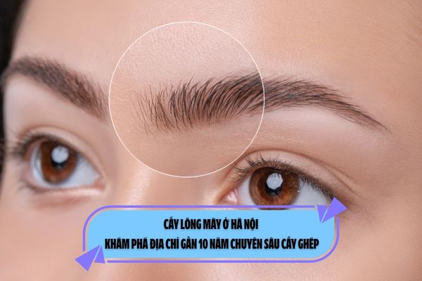 Cấy lông mày ở Hà Nội: Khám phá địa chỉ gần 10 năm chuyên sâu cấy ghép