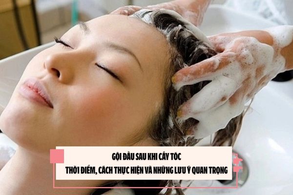 Gội đầu sau khi cấy tóc: Thời điểm, cách thực hiện và những lưu ý quan trọng 