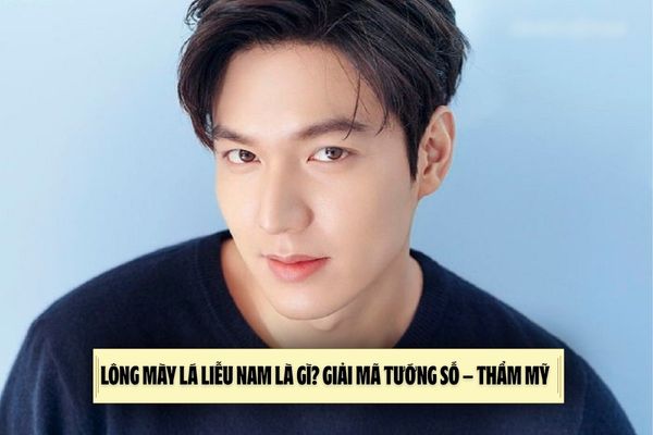 Lông mày lá liễu nam là gì? Giải mã tướng số – thẩm mỹ 