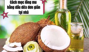 [Hướng dẫn chi tiết]: Cách mọc lông mu bằng dầu dừa đơn giản, tại nhà