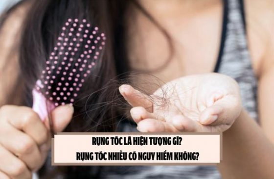 Rụng tóc là hiện tượng gì? Rụng tóc nhiều có nguy hiểm không?