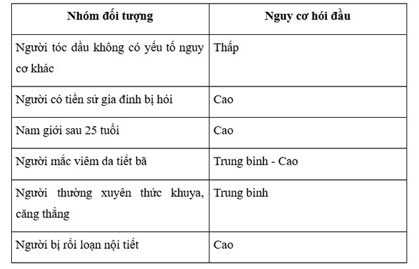 Người tóc dầu có dễ bị hói không