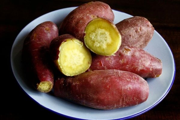 Ăn gì cho tóc chắc khỏe? 10 thực phẩm giúp nuôi tóc dày khỏe từ gốc đến ngọn