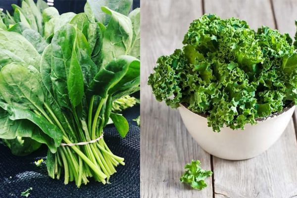 Ăn gì để tóc bóng đẹp? 15 Thực phẩm giúp tóc chắc khỏe và giảm gãy rụng 