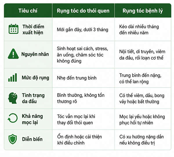 10 thói quen gây rụng tóc nhiều người vẫn mắc phải