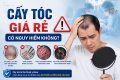 Cấy tóc giá rẻ có nguy hiểm không? Cảnh báo 6 rủi ro nghiêm trọng