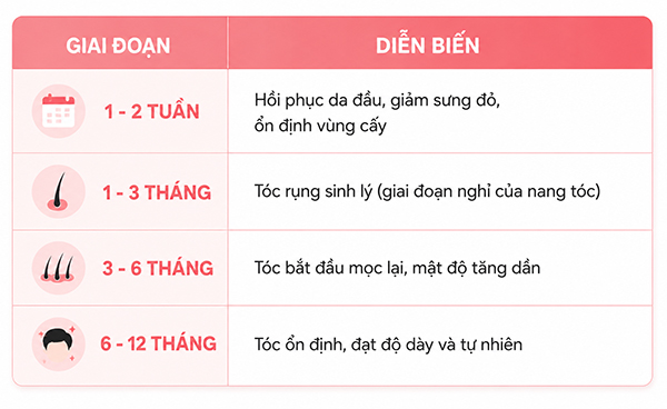 Các giai đoạn phát triển sau cấy tóc: