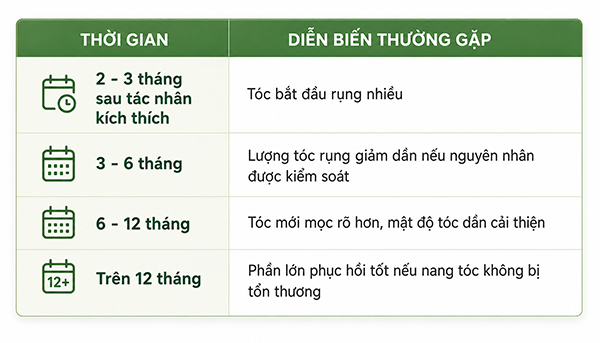 Rụng tóc telogen kéo dài bao lâu?