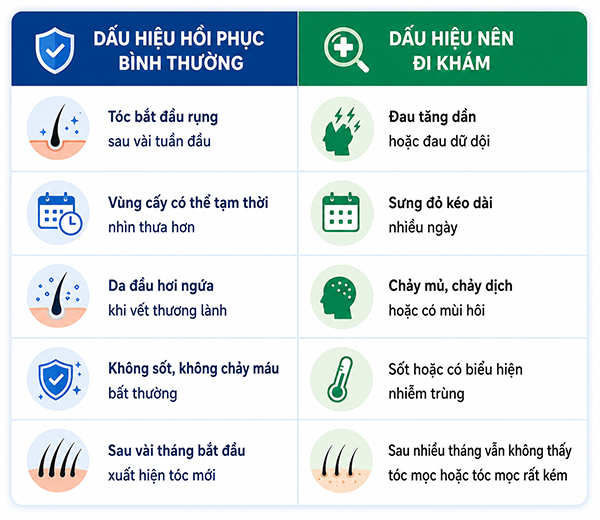Sau cấy tóc sẽ rụng như thế nào là bình thường