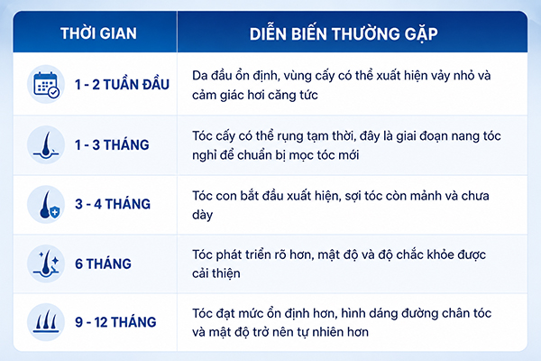 Sau cấy tóc bao lâu thì tóc bắt đầu mọc