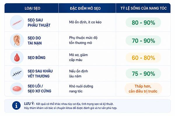 Cấy tóc lên sẹo tỉ lệ sống bao nhiêu