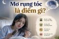 Mơ rụng tóc là điềm gì? Theo quan niệm dân gian và góc nhìn khoa học
