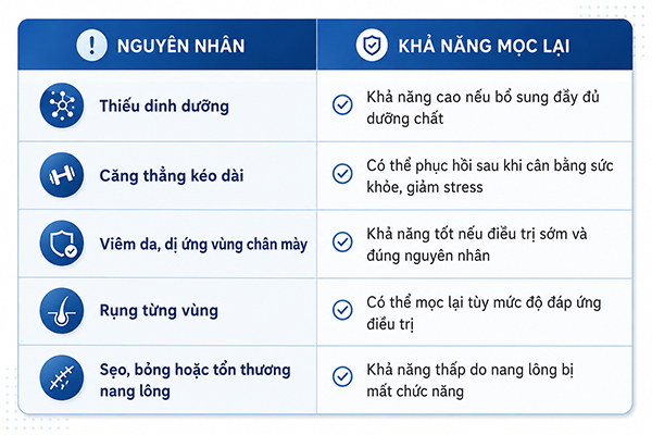 Lông mày rụng có mọc lại không