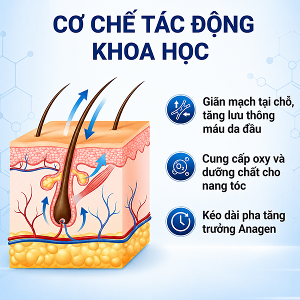 Minoxidil giúp mọc râu như thế nào
