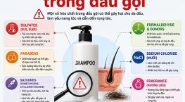 Chất gây rụng tóc trong dầu gội cần lưu ý để bảo vệ mái tóc