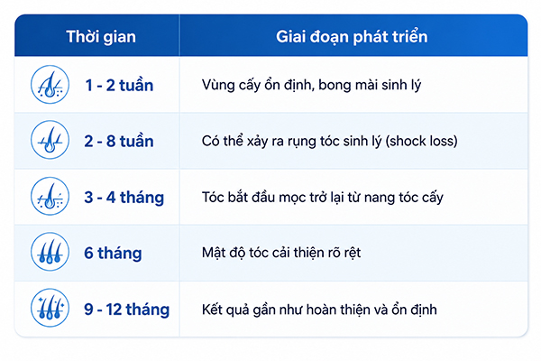 Cấy tóc trên vùng sẹo có đau không? Bao lâu tóc mới mọc?