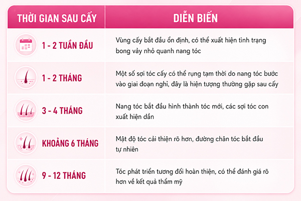 Sau bao lâu tóc mới mọc và ổn định?
