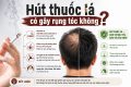 Hút thuốc lá có gây rụng tóc không? Giải đáp từ bác sĩ
