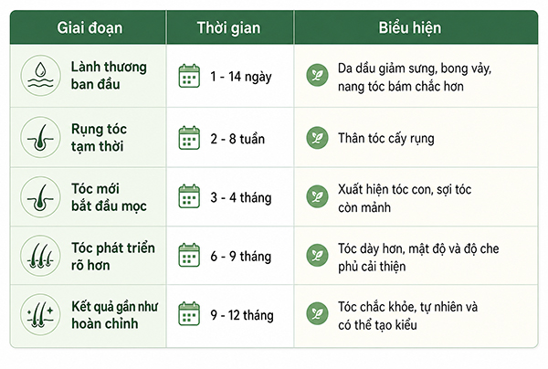 Thời gian phục hồi tóc sau cấy