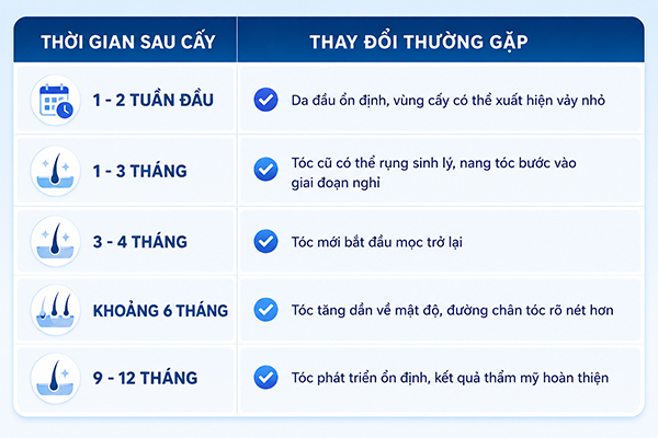 Sau bao lâu tóc cấy ở vùng trán bắt đầu mọc?