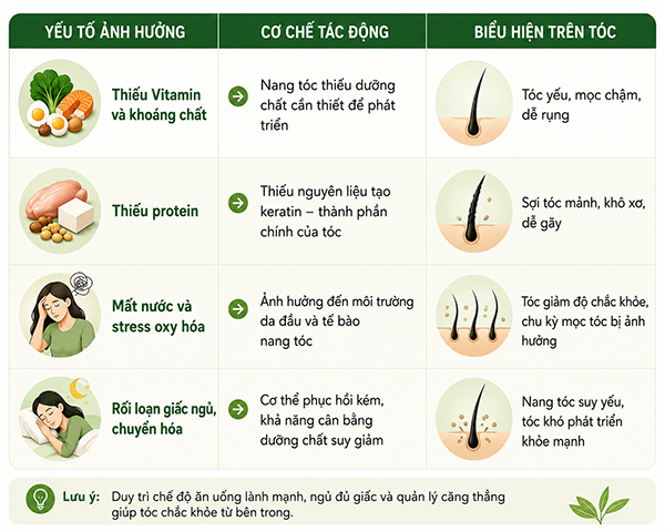 Vì sao rượu bia có thể làm tóc rụng nhiều hơn?