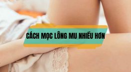 [Tổng hợp] 10+ Cách mọc lông mu nhiều hơn, đơn giản, hiệu quả