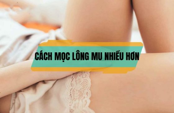 Cách mọc lông mu nhiều hơn, đơn giản, hiệu quả