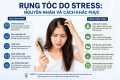 Rụng tóc do stress: Nguyên nhân và cách khắc phục