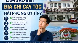Làm sao biết địa chỉ cấy tóc Hải Phòng uy tín? 5 cách kiểm tra trước khi quyết định