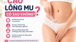 Cạo lông mu có sao không? Những điều cần biết trước khi cạo