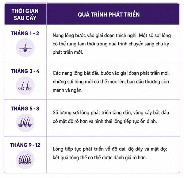 Cấy lông mu bao lâu thì có kết quả
