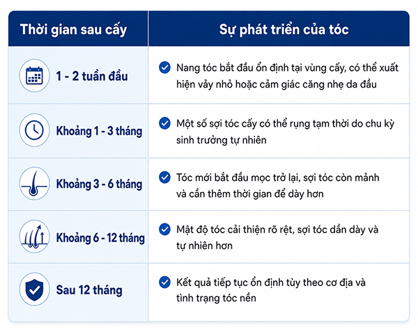 Quá trình mọc tóc sau khi cấy 