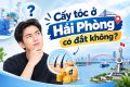 Cấy tóc ở Hải Phòng có đắt không?