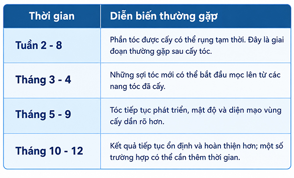Thời gian mọc tóc sau cấy