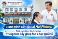 Hành trình cấy tóc tại Hải Phòng: Trải nghiệm thực tế