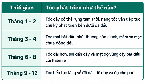 Quá trình mọc tóc sau khi cấy