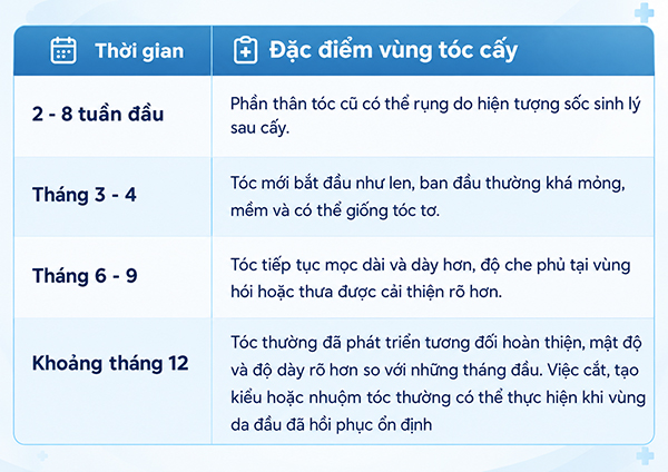 Quá trình mọc tóc sau khi cấy