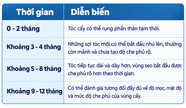 Cấy tóc trên sẹo bao lâu thì tóc mọc