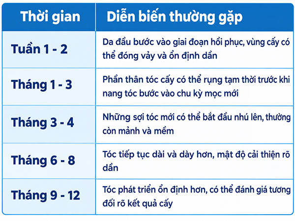 Lộ trình mọc tóc sau cấy