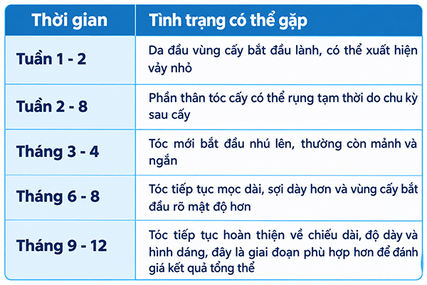 Các mốc giai đoạn mọc tóc sau cấy