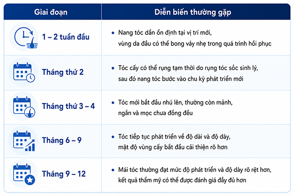 Các giai đoạn mọc tóc sau khi cấy